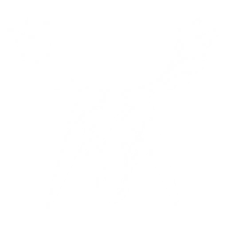 Summon a Flora Reindeer to attack enemies within a large range, dealing {0} Aero DMG.

CD: {1}s.