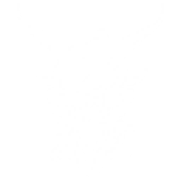 Transform into a Kronablight, soar into the air, and dive to deal {0} Electro DMG to the enemies.
CD: {1}s