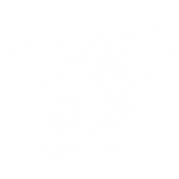 Transform into a Kronaclaw and soar into the air to deal {0} Aero DMG up to 8 times and {1} Aero DMG 2 times, then dive to deal {2} Aero DMG 1 time.
CD: {3}s