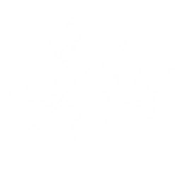 Summon a Glommoth to stomp enemies, dealing {0} Glacio DMG.
Casting Outro Skill within {1}s after summoning Glommoth grants {2} Glacio DMG Bonus to the incoming Resonator for {3}s.
CD: {4}s.