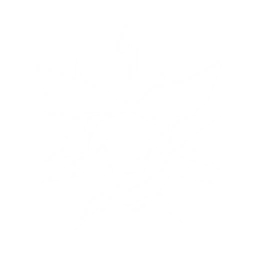 Summon a Lava Larva that continuously attacks enemies, dealing {0} Fusion DMG with each hit. The Lava Larva disappears when the summoner is switched out or moves too far away.

CD: {1}s