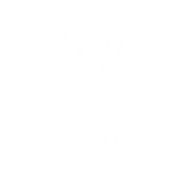 Lunge forward as a Lightcrusher, dealing {0} Spectro DMG. Generate {1} Ablucence on hit. Each Ablucence explosion deals {2} Spectro DMG.
Hold the Echo Skill to stay in the Lightcrusher form, which allows you to leap up and pounce forward in the air for a short distance.

Cooldown: {3}s