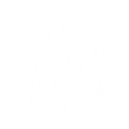 Transform into Nightmare: Kelpie to attack nearby targets, dealing {0} Glacio DMG.
The Resonator with this Echo equipped in the main slot gains {2} Glacio DMG Bonus and {3} Aero DMG Bonus. Switching out the Resonator with Outro Skill summons Nightmare: Kelpie to deal {1} Aero DMG.
CD: {4}s