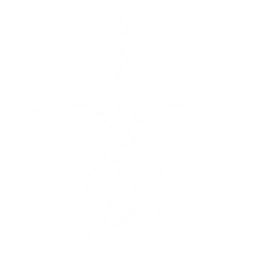 Summon a Collapsing Horizon, dealing two instances of {0} Havoc DMG to the nearby enemies and obtaining the Core of Collapse for {1}s.

While it lasts, Core of Collapse deals {2} Havoc DMG when the active Resonator in the team deals damage. This effect can be triggered once every {4}s, up to <SapTag=3>{3}</SapTag> {Cus:Sap,S=time P=times SapTag=3}. Enemies with Havoc Bane take {5} more DMG from this effect.

The Resonator with this Echo equipped in the main slot gains {6} Havoc DMG Bonus and {7} Resonance Liberation DMG Bonus.

CD: {8}s