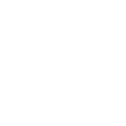 Summon Hyvatia to fire lasers at enemies from mid-air, dealing {0} Spectro DMG 10 times.

Casting Outro Skill within {1}s after summoning Hyvatia grants {2} All-Attribute DMG Bonus to the next Resonator using Intro Skill for {3}s.

CD: {4}s.