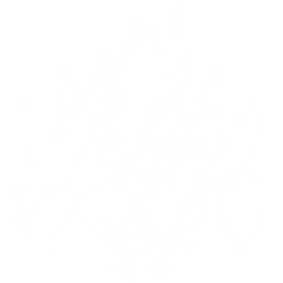 Transform into a Reactor Husk, jumping into the air and unleashing a heavy slash that deals {0} Fusion DMG to enemies.
 
The Resonator with this Echo equipped in their main slot gain {1} Energy Regen.
 
 CD: {4}s.