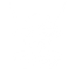 Summon Sigillum to unleash two attacks, dealing {0} and {1} Fusion DMG respectively.
When equipped in the main slot by Aemeath, it grants {2} Resonance Liberation DMG Bonus.
CD: {3}s