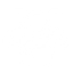 Summon Nameless Explorer to attack enemies along its path, dealing {0} Aero DMG.
The Resonator with this Echo equipped in their main slot gains {1} Aero DMG Bonus and {2} Echo Skill DMG Bonus.
CD: {3}s.