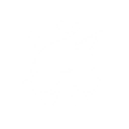 Summon a Chirpuff that self-inflates and blasts a powerful gust of wind forward {0} times. Each blast inflicts {1} Aero DMG and pushes enemies backwards.

CD: {2}s