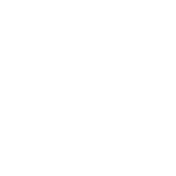 Transform into Hoochief and smack the enemies, dealing {0} Aero DMG.

CD: {1}s