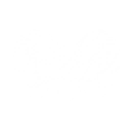 Transform into Mourning Aix and perform 2 consecutive claw attacks, each attack dealing {0} and {1} Spectro DMG respectively.

After the transformation, increase current character's Spectro DMG by {2} and Resonance Liberation DMG by {3} for {4}s

CD: {5}s