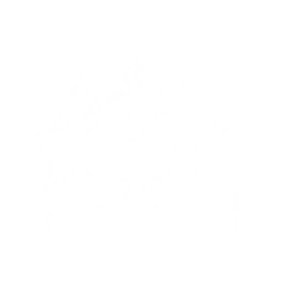 Summon a Dwarf Cassowary that tracks and attacks the enemy, dealing {1} Physical DMG {0} time(s).

Cooldown: {2}s