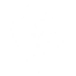 Transform into Cyan-Feathered Heron and charge at the enemies, dealing {0} Aero DMG; This Echo Skill interrupts enemy <color=Highlight>Special Skills</color> upon dealing damage.
 
CD: {1}s