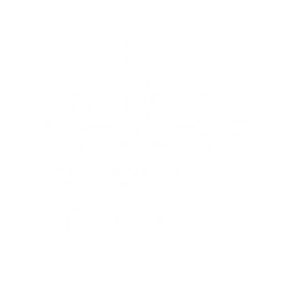 Transform into Tempest Mephis to perform tail swing attacks followed by a claw attack. The lightning strike summoned by the tail swing deals {0} Electro DMG each time, while the claw attack deals {1} Electro DMG.

After the claw hit, increase the current character's Electro DMG by {2} and Heavy Attack DMG by {3} for {4}s.

CD: {5}s