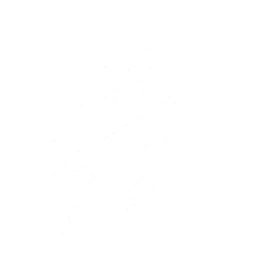 Transform into Fusion Warrior to perform a Counterattack. If the Counterattack is successful, the cooldown time of this skill will be reduced by {0}, and {1} Fusion DMG will be dealt.

CD: {2}s