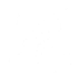 Transform into Flautist, continuously emitting Electro lasers, dealing {0} Electro DMG for a total of 10 times. Gain {1} Concerto Energy every time a hit lands.

CD: {2}s