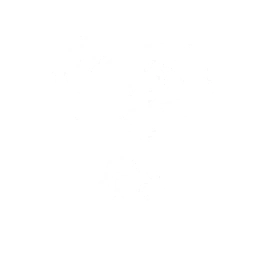 Summon a Zig Zag that detonates Spectro energy, dealing {0} Spectro DMG and creating a Stagnation Zone that lasts 1.8s.
CD: {1}s