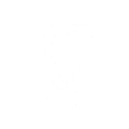 Summon a Dwarf Cassowary that tracks and attacks the enemy, dealing {1} Physical DMG {0} time(s).

Cooldown: {2}s