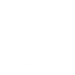 Summon a Dwarf Cassowary that tracks and attacks the enemy, dealing {1} Physical DMG {0} time(s).

Cooldown: {2}s