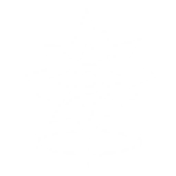 Summon a Spectro Prism to emit a laser that hits the enemy up to {0} times, dealing {1} Spectro DMG each time.

CD: {2}s