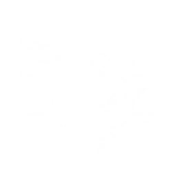 Summon an Aero Drake to attack enemies, dealing {0} Aero DMG.
CD: {1}s.