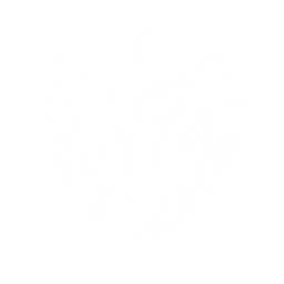 Summon an Electro Drake to attack enemies, dealing {0} Electro DMG 3 times.
CD: {1}s.