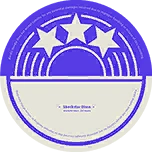 Shockstar Disco image